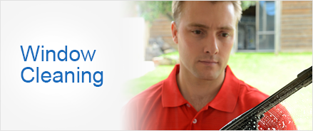 window_cleaning_btn
